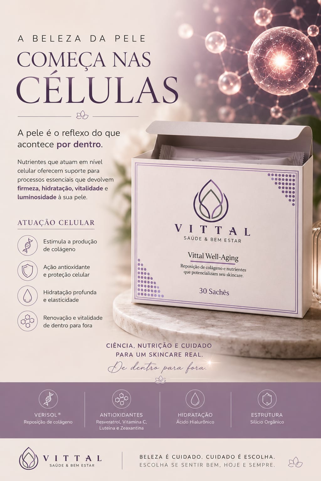 Infográfico Vittal Well-Aging - A beleza da pele começa nas células